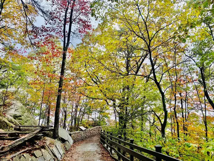 A walkway with railing and colorful trees along the side.