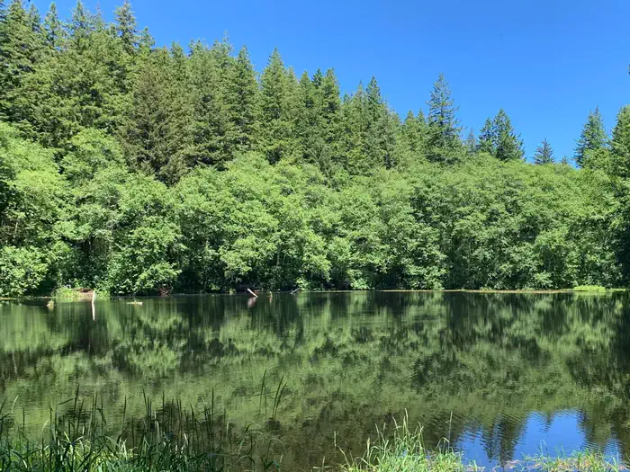 Hebo Lake surrounded by a forested landscape.