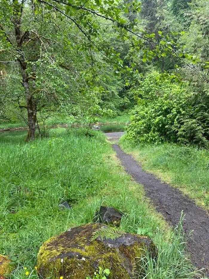 Path to river