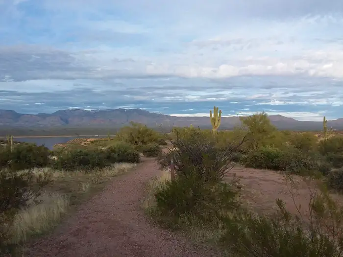 GRAPEVINE GROUP CAMPGROUND Sky and vegetation view.