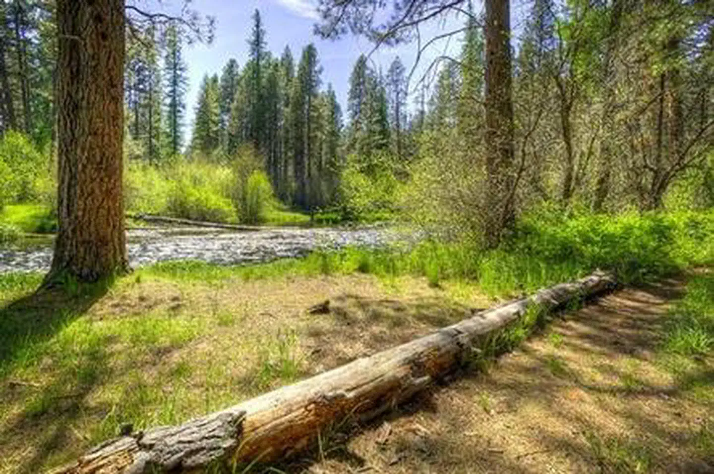 GORGE CAMPGROUND