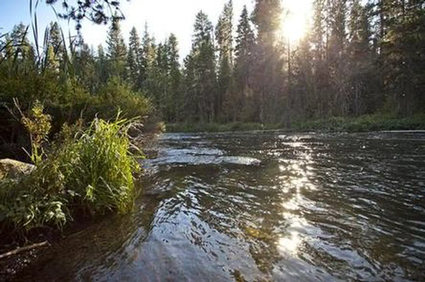 NORTH DAVIS CREEK CAMPGROUND