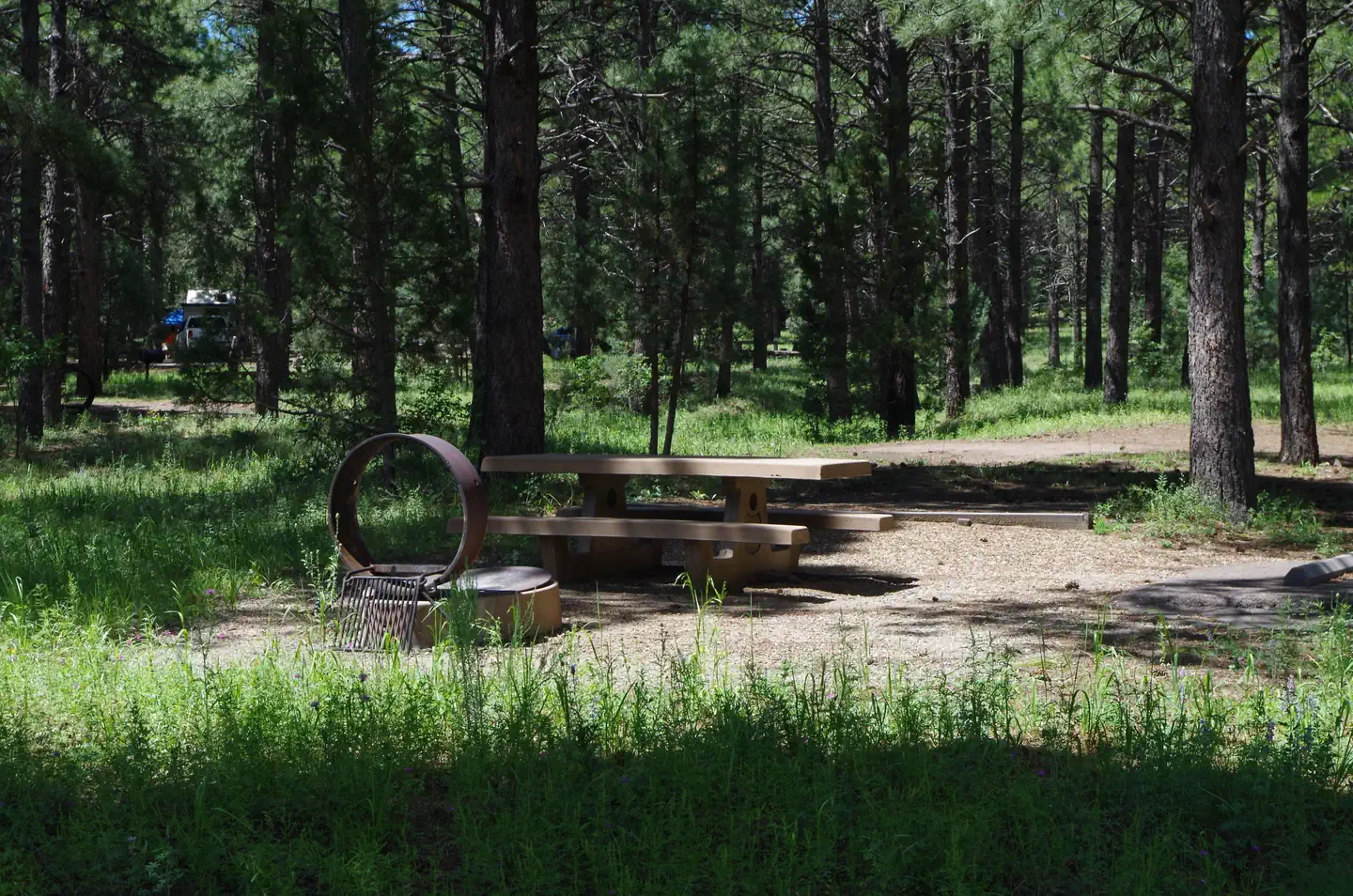 POTATO PATCH CAMPGROUND