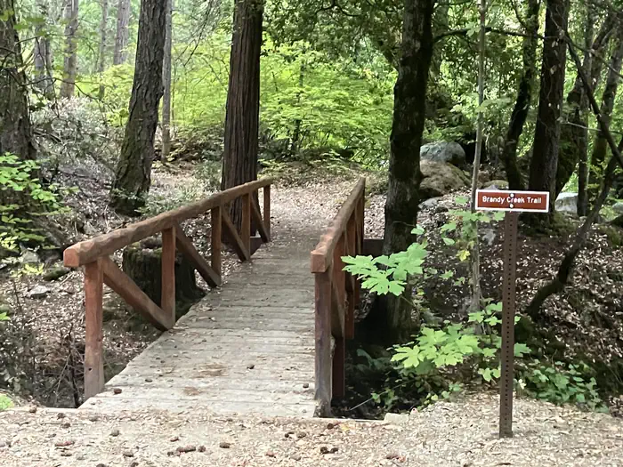 Brandy Creek Trail