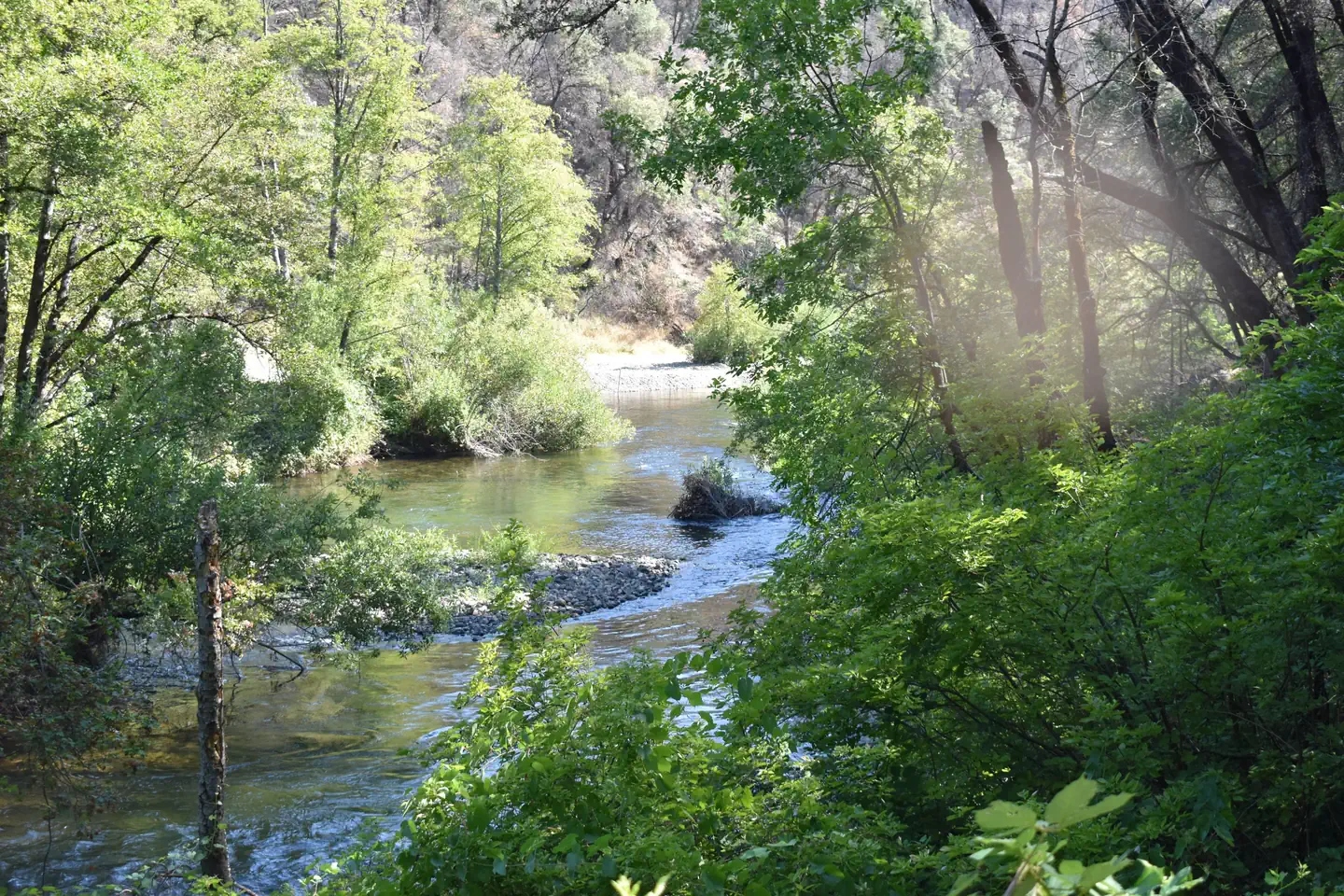 Clear Creek at Peltier Bridge Campground 2