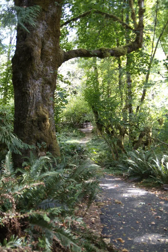 View of shelter 2 from accessibility trail.