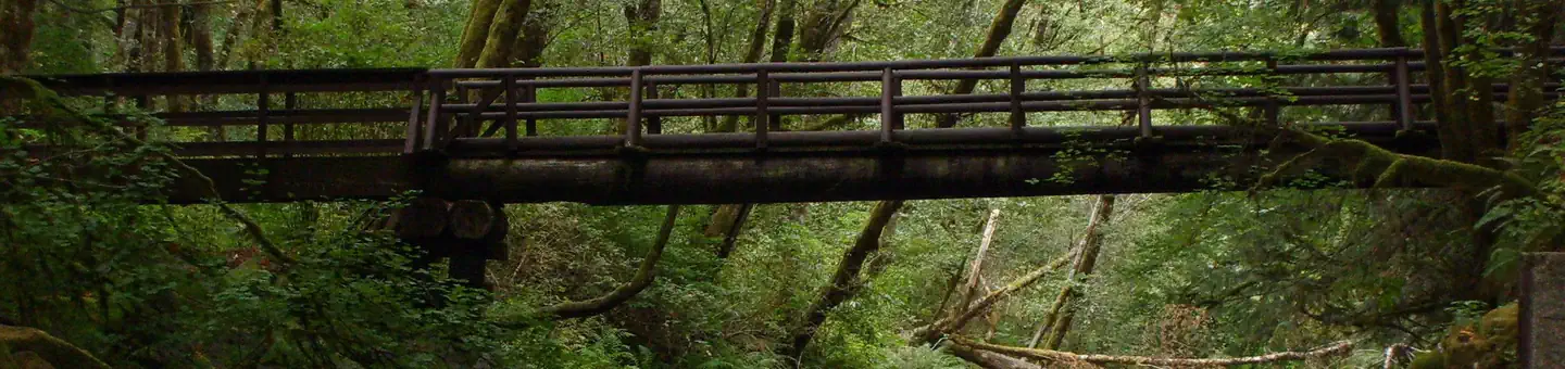 Whittaker Creek bridge near the seasonal dam