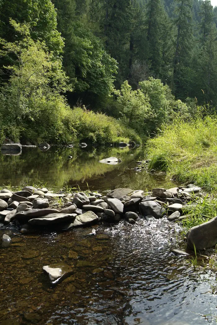 Siuslaw River 2