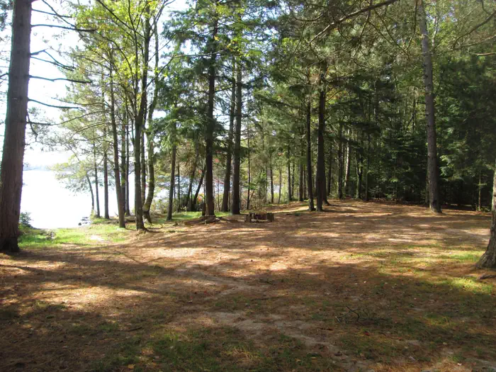 Chicago Lake Campsite