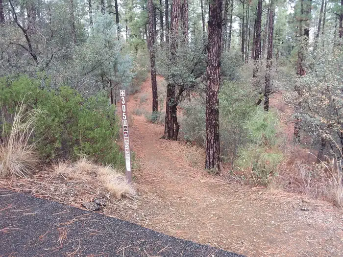Hilltop Campground: trail head 3