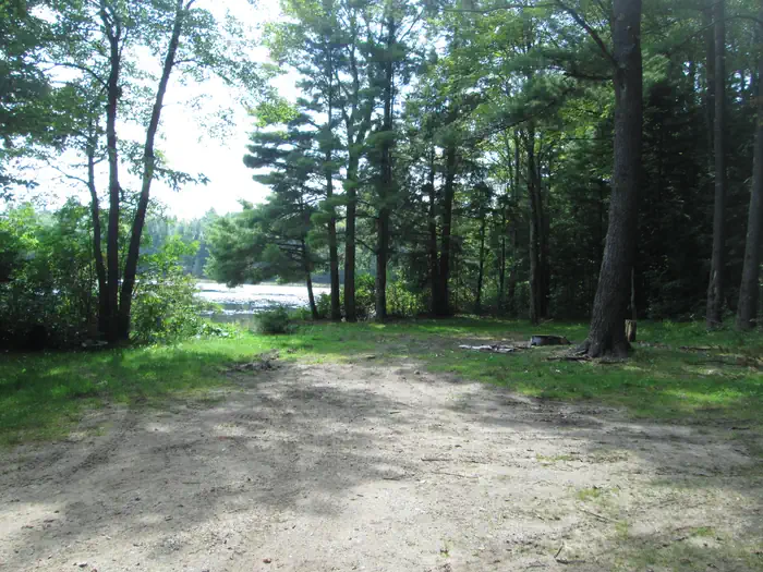 Triangle Lake Campsite