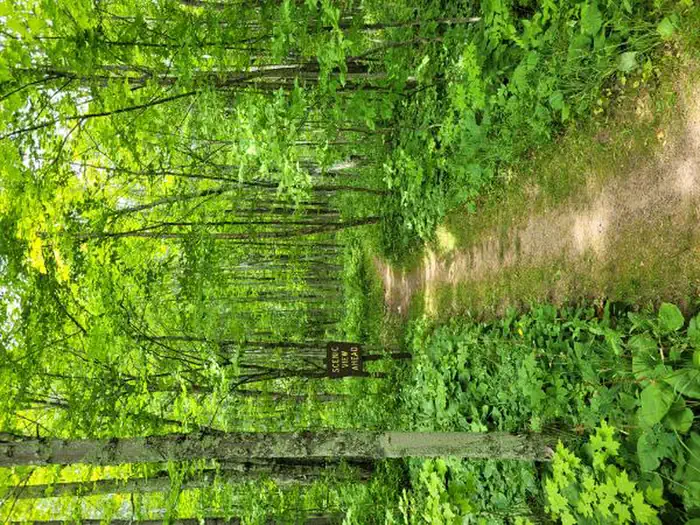 A photo of facility BLACK RIVER HARBOR CAMPGROUND