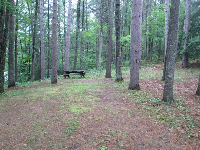 LITTLE BASS LAKE CAMPSITE 4