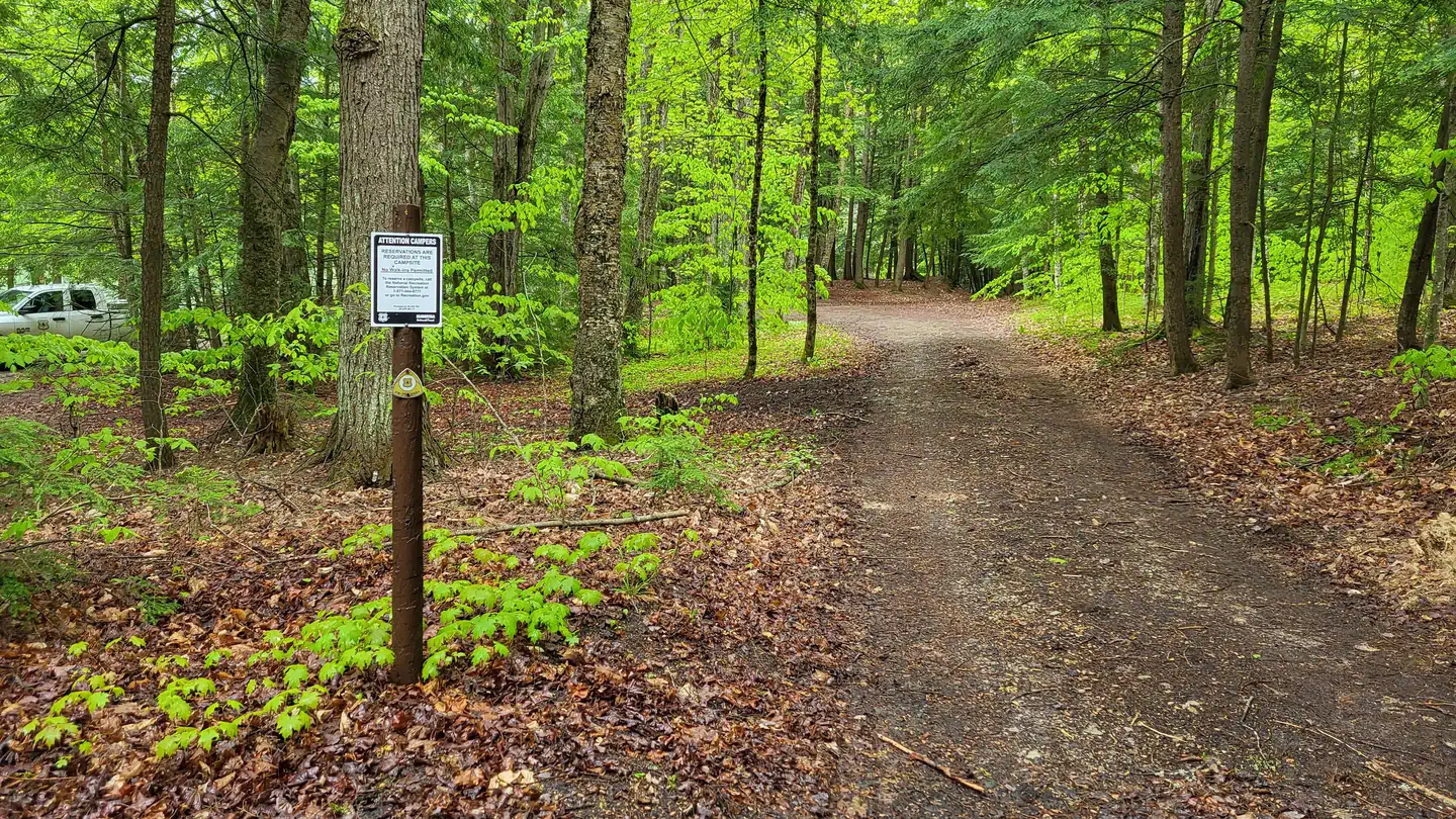 Minerva Lake Campsite