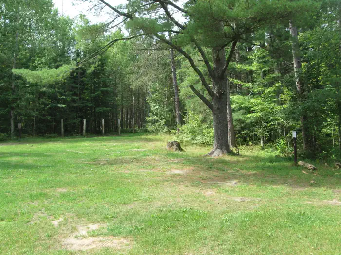 Swan Lake Campsite 3