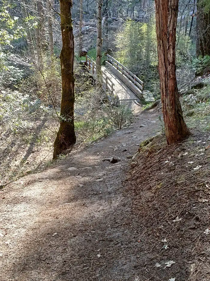 Bridge