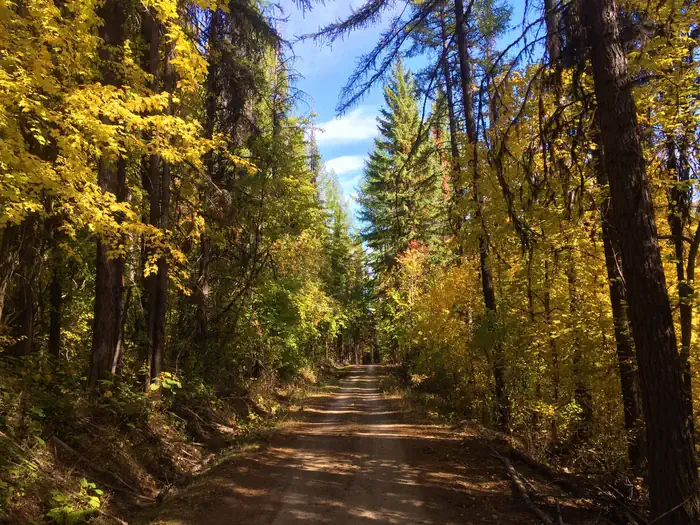 Colville National Forest