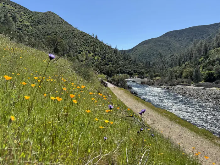 Halls Gulch Bridge—Just downstream from Railroad Flat Campground