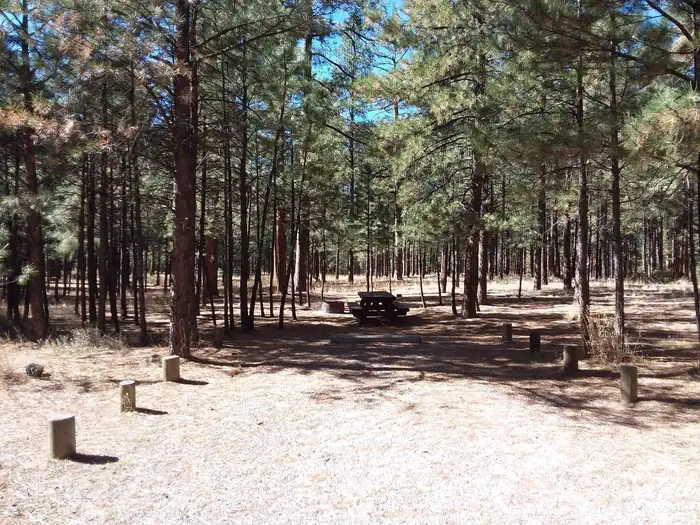 Jemez Falls Campground Campsite 007