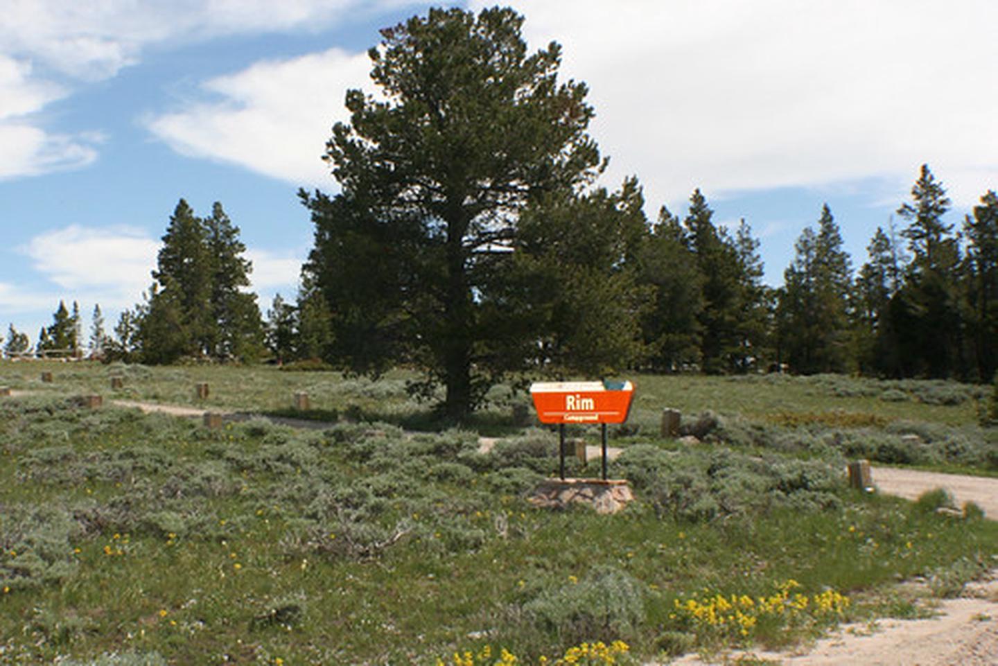 Rim Campground