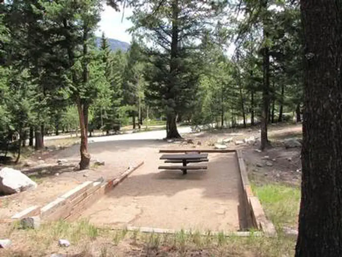 Campsite surrounded by trees with picnic table