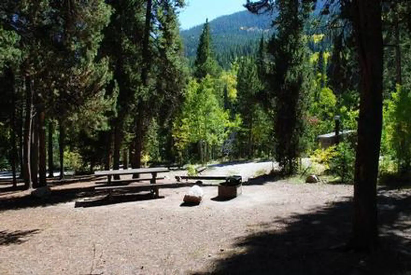 Campsite surrounded by trees