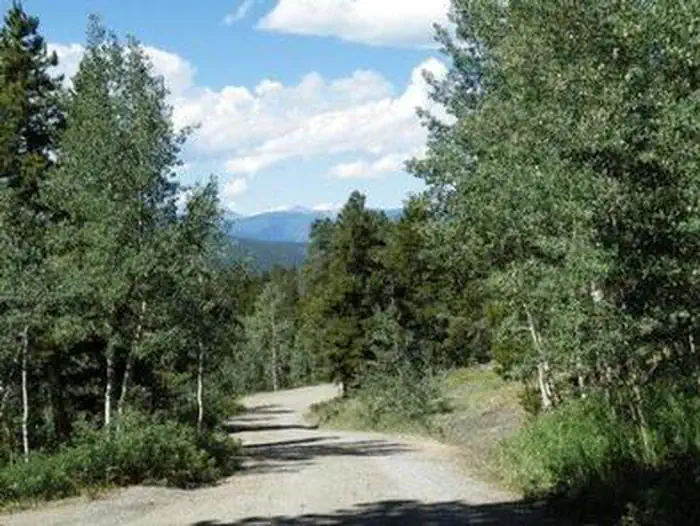 Road into Cold Springs
