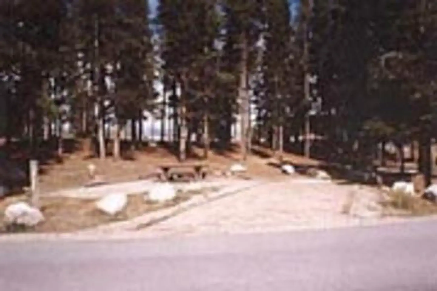 GREEN RIDGE
