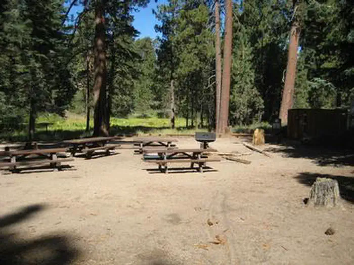 DEER GROUP CAMP