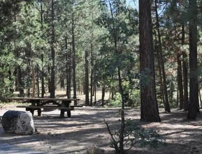 SAN GORGONIO