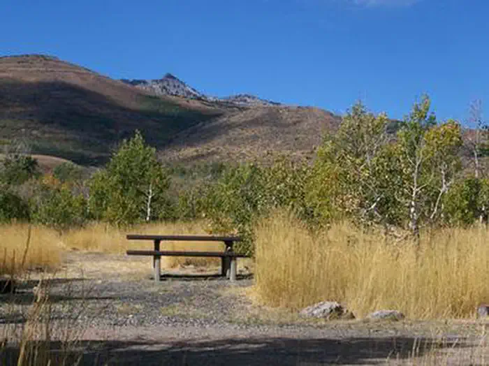 ANGEL CREEK