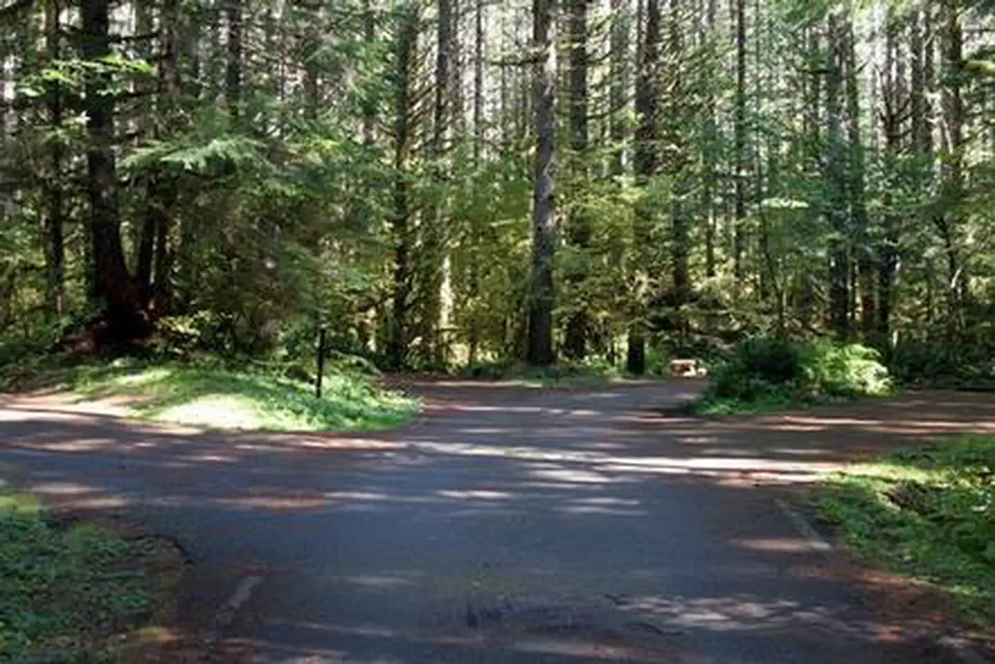 Beckler River Campground
