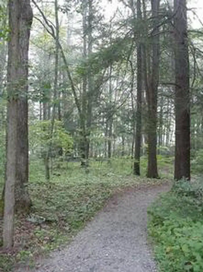 BLUE BEND REC AREA