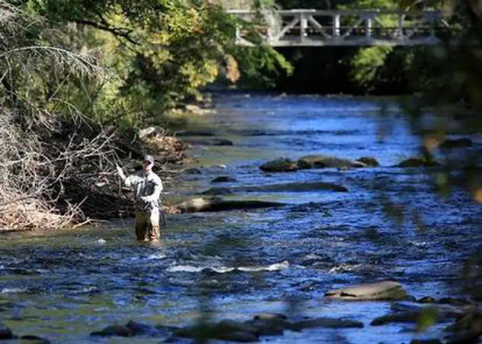 DAVIDSON RIVER