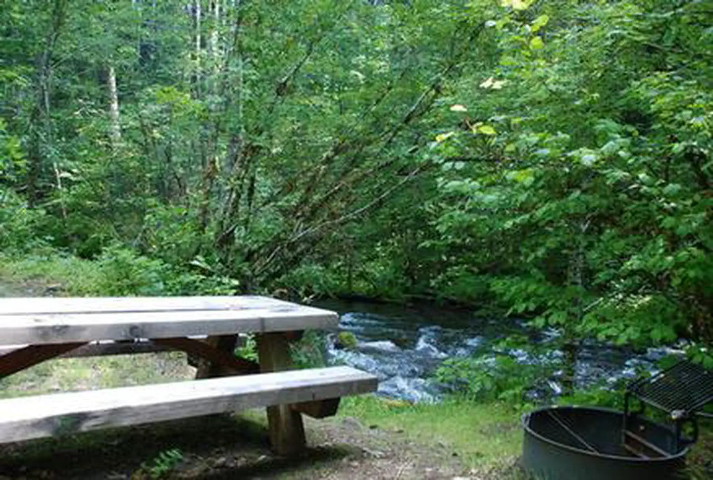 Picnic table and fire ring next to swift, shrub lined creek.