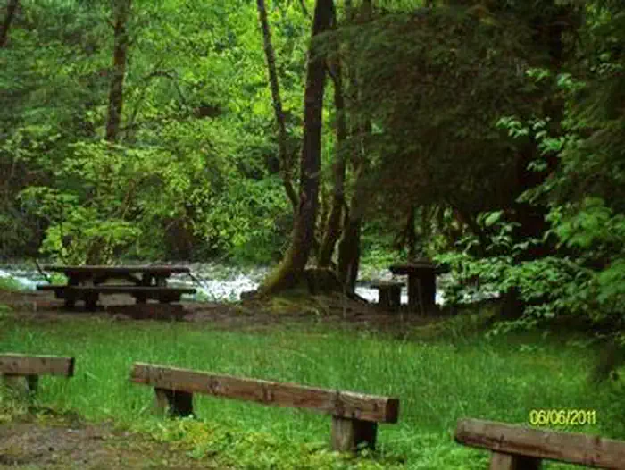 MCKENZIE BRIDGE