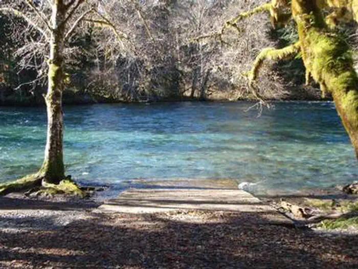 MCKENZIE BRIDGE