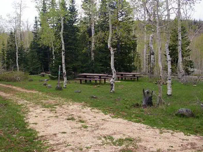 DEER HAVEN