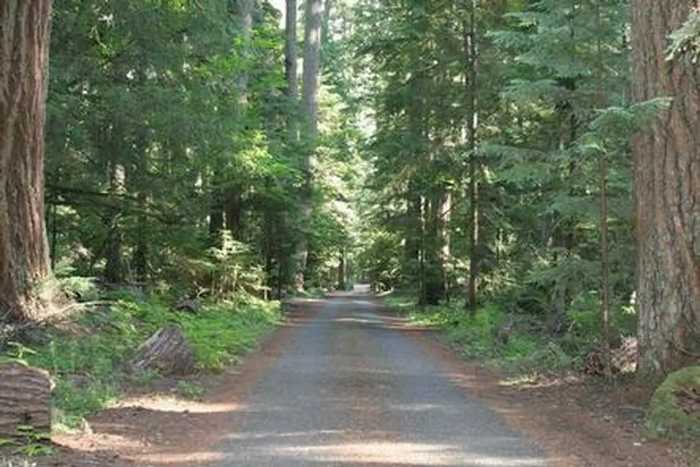 The Dalles Campground