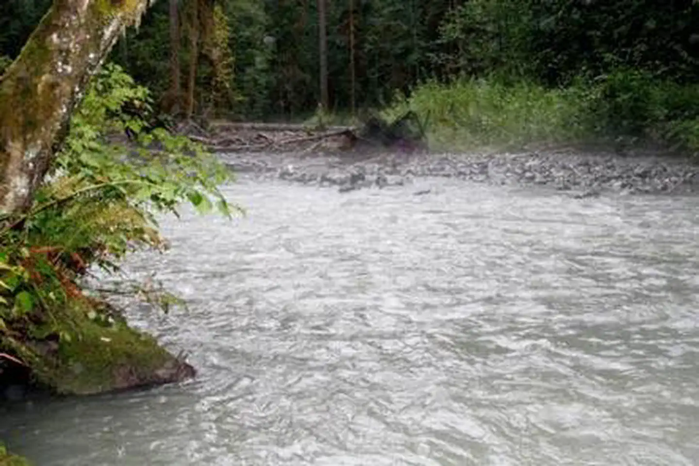 Park Creek Campground