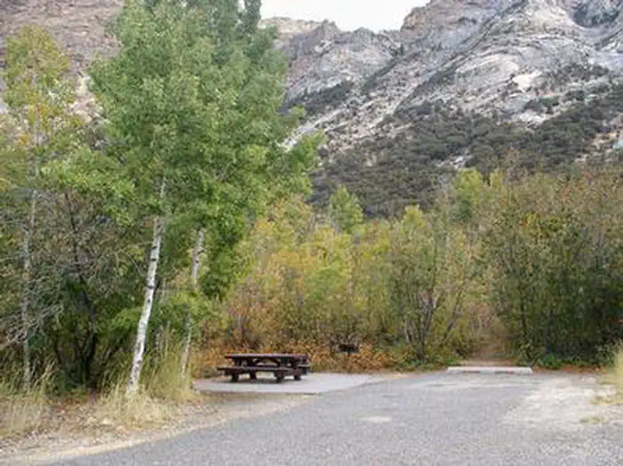 THOMAS CANYON