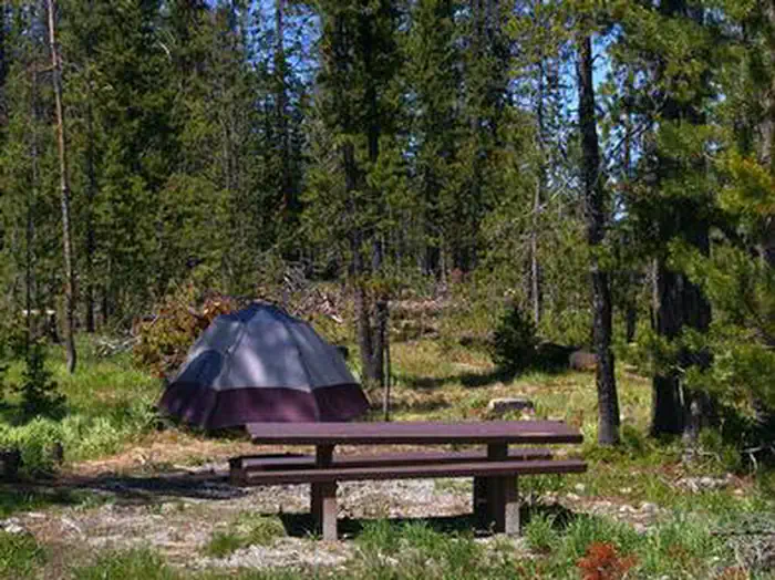 TRAP CREEK CAMPGROUND