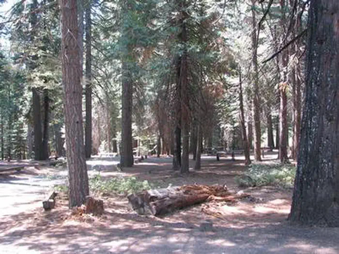 STUMPY MEADOWS