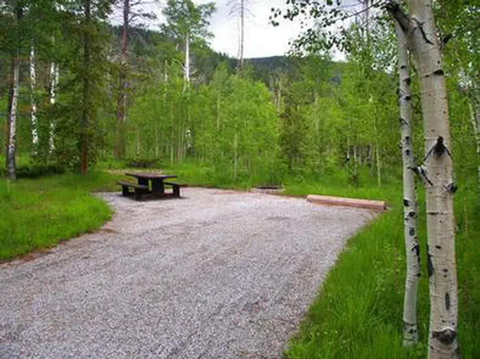 LODGEPOLE AT FLAMING GORGE
