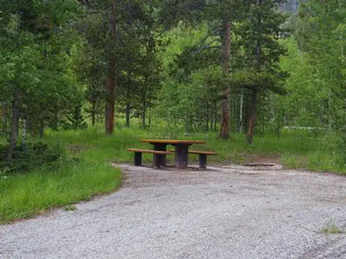 LODGEPOLE AT FLAMING GORGE