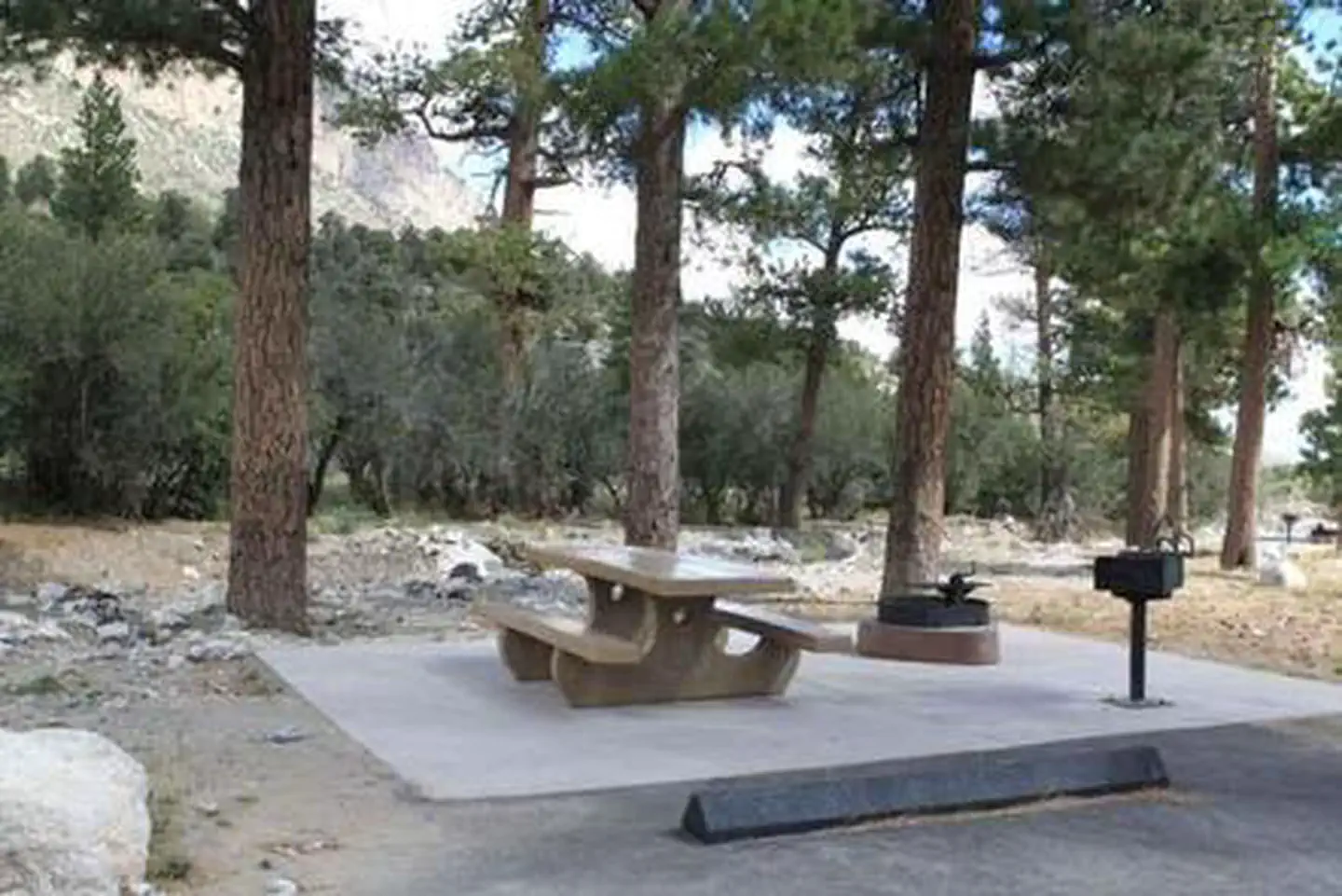 KYLE CANYON PICNIC AREA DAY USE