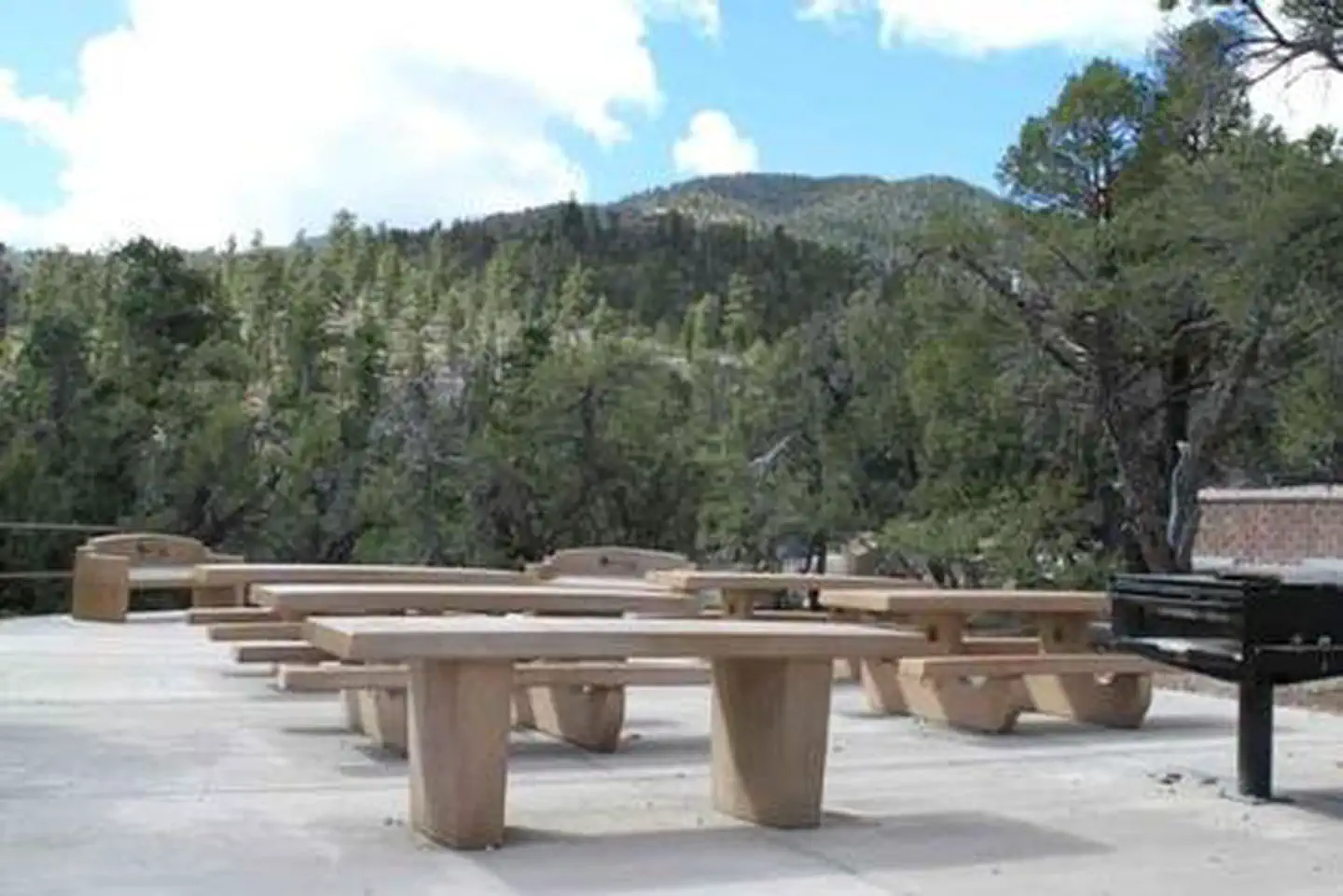 MAHOGANY GROVE