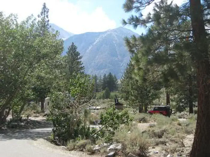 UPPER SAGE FLAT