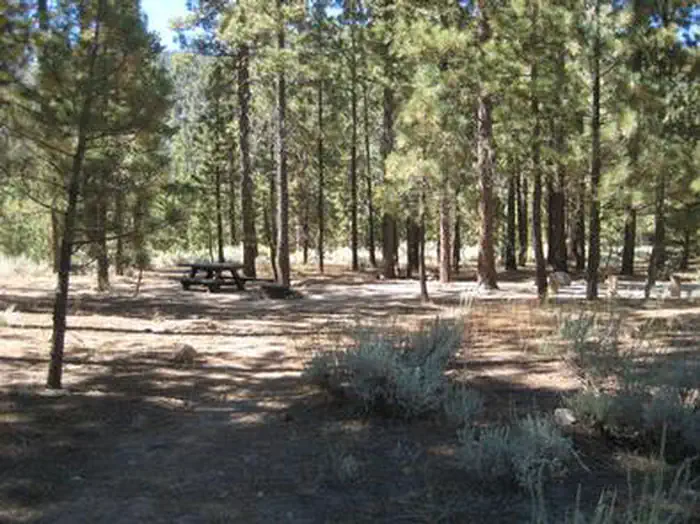 Heart Bar Campground Picnic Tables..