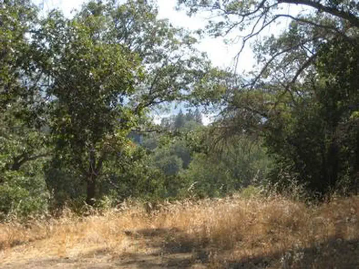 View from North Shore Campground